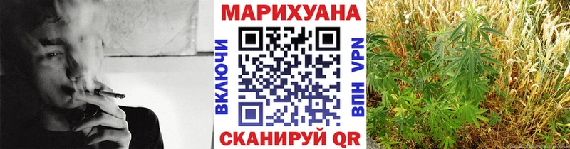 Бошки Шишки VHQ  Сенгилей 